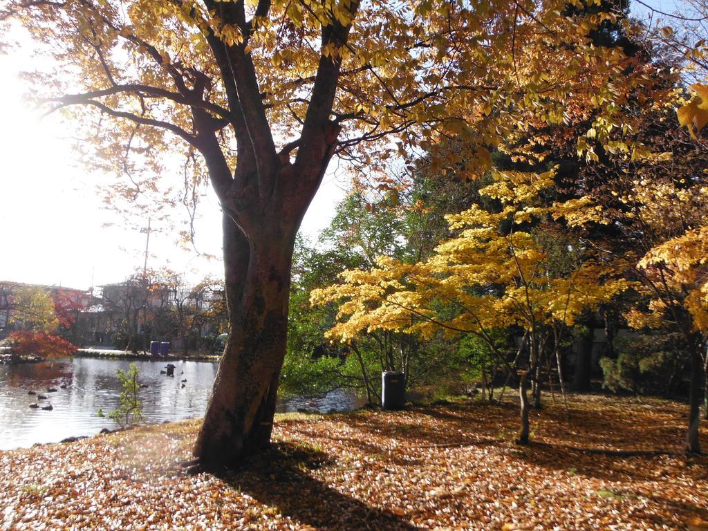 Yamagata Kokusai Hotel Bagian luar foto